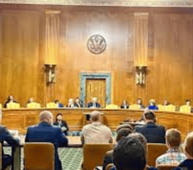 Joint Investigation Into Fossil Fuel Disinformation - 2024