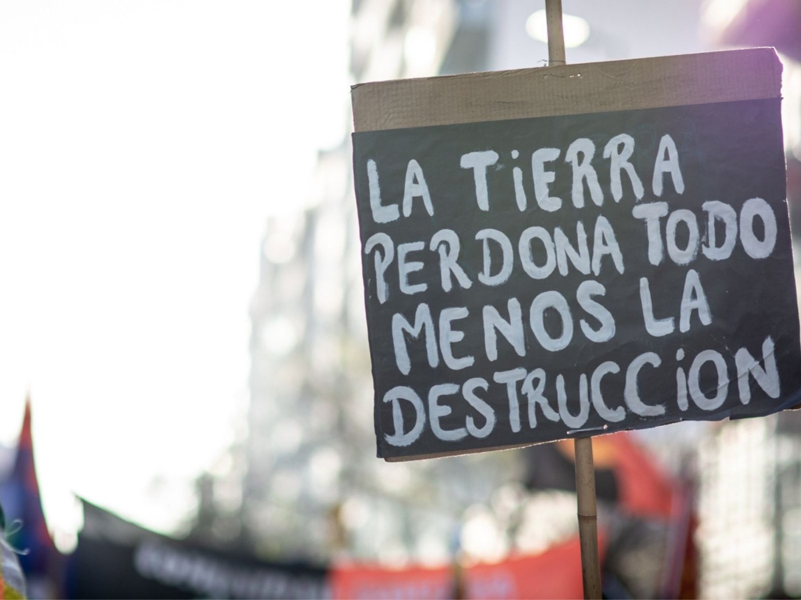 In February and June 2024, environmental organizations and indigenous organizations protested at various points in the country, mainly concentrating near the National Congress in Buenos Aires. (photo credit: Ana Dominguez)