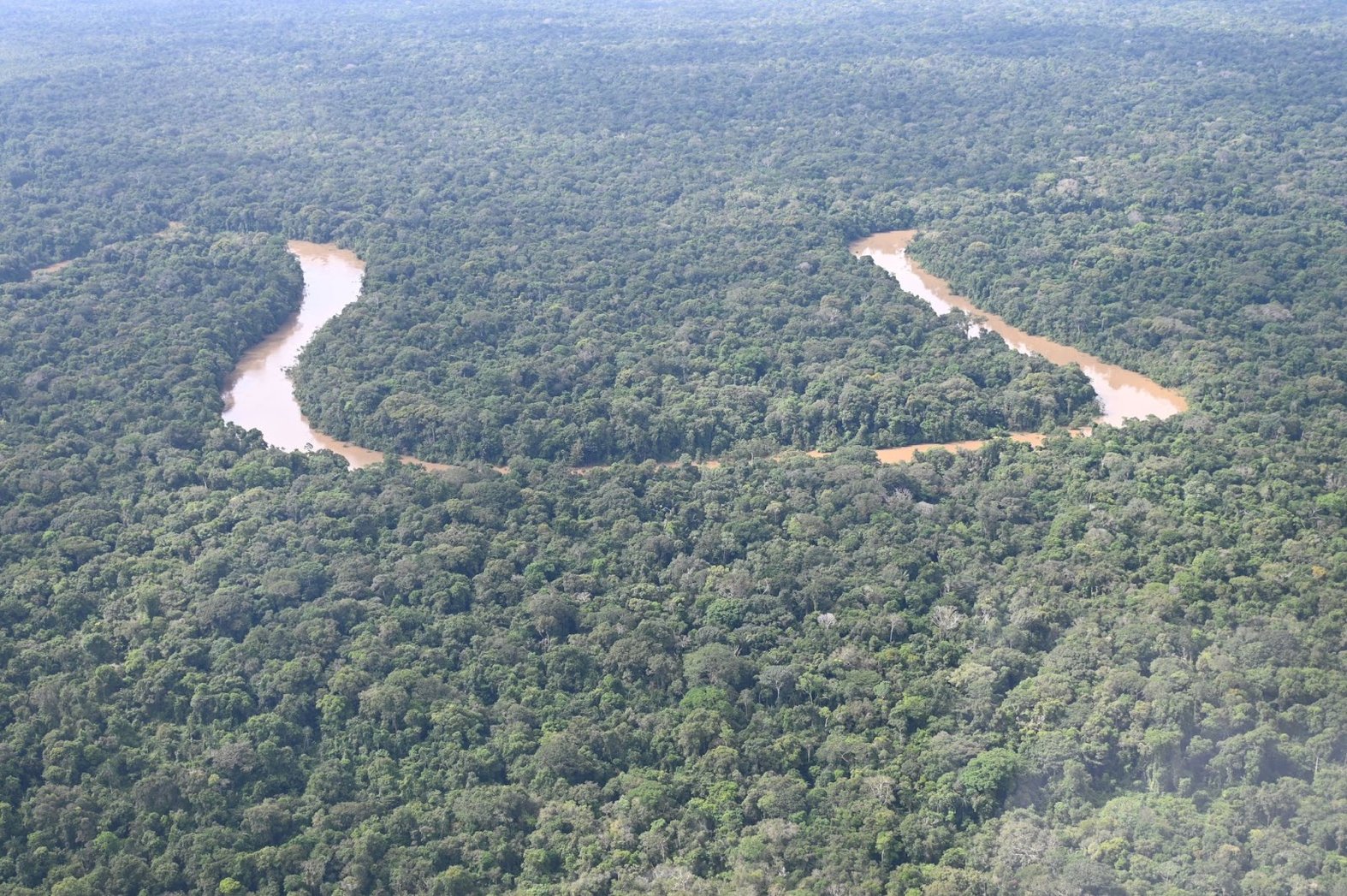 The Cotuhé and Putumayo Rivers Indigenous reservation, crossed by the Cotuhé River seen here, is home to 945 square miles of Amazon rainforest in a very high state of conservation. Photo courtesy of Rodrigo Botero / Foundation for Conservation and Sustainable Development (FCDS).