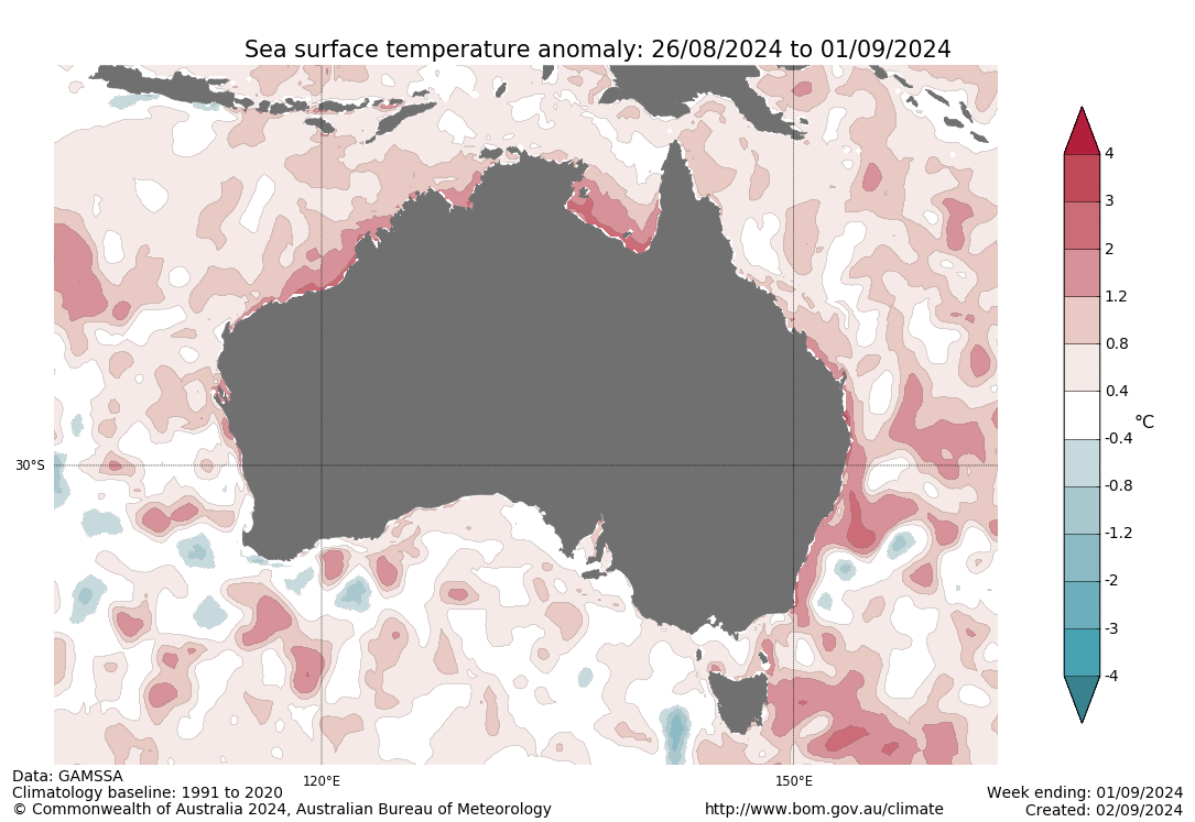 Timelapse image of Bureau of Meteorology charts showing ocean temperatures beginning in September 2024. (Source: BOM)
