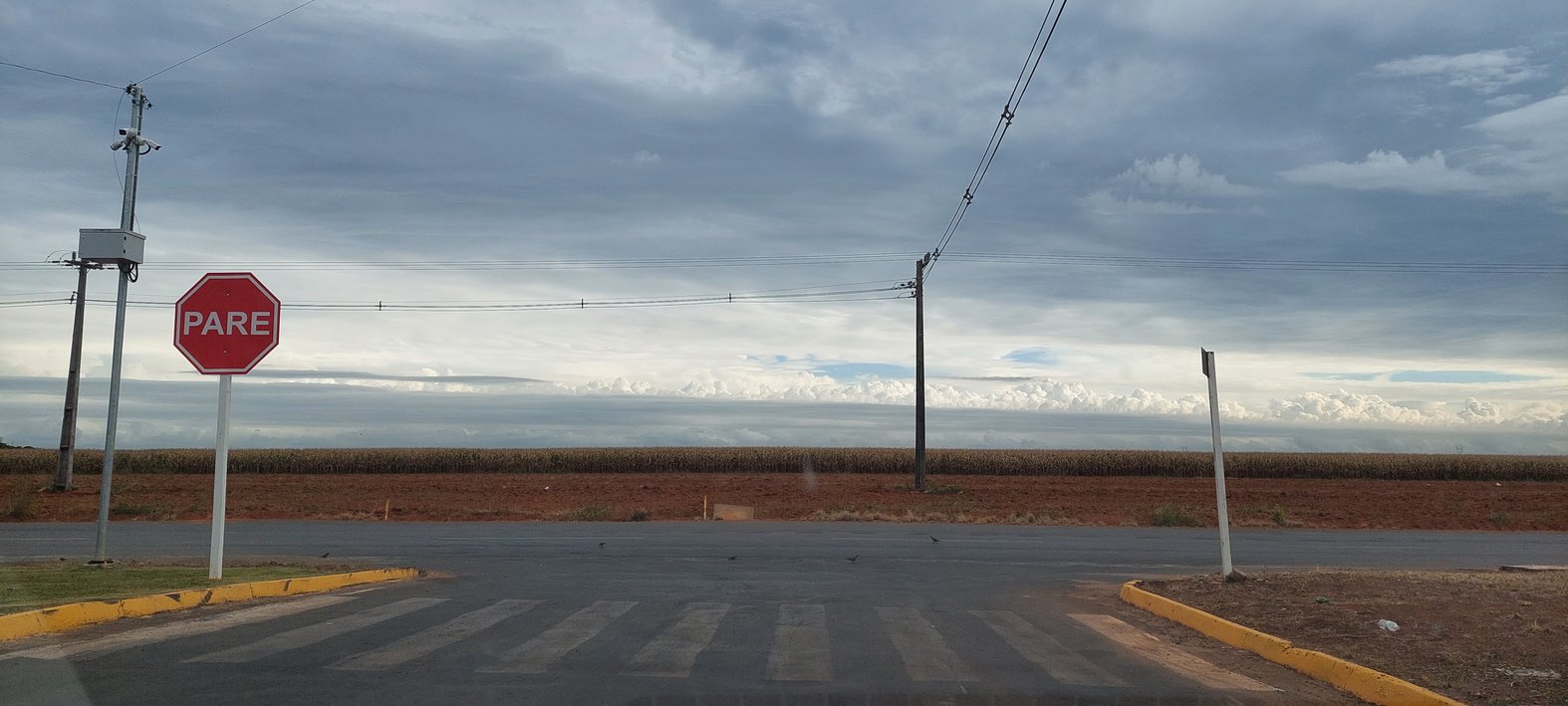 The desolate fields of Lucas. Photo by Felipe Sabrina / Intercept Brasil