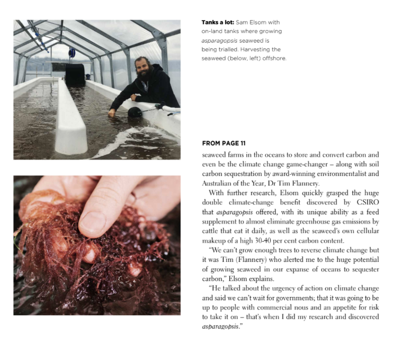 Screenshot of image published by The Weekly Times in an article that appeared on 28 April 2021 about Sea Forest and its activities.