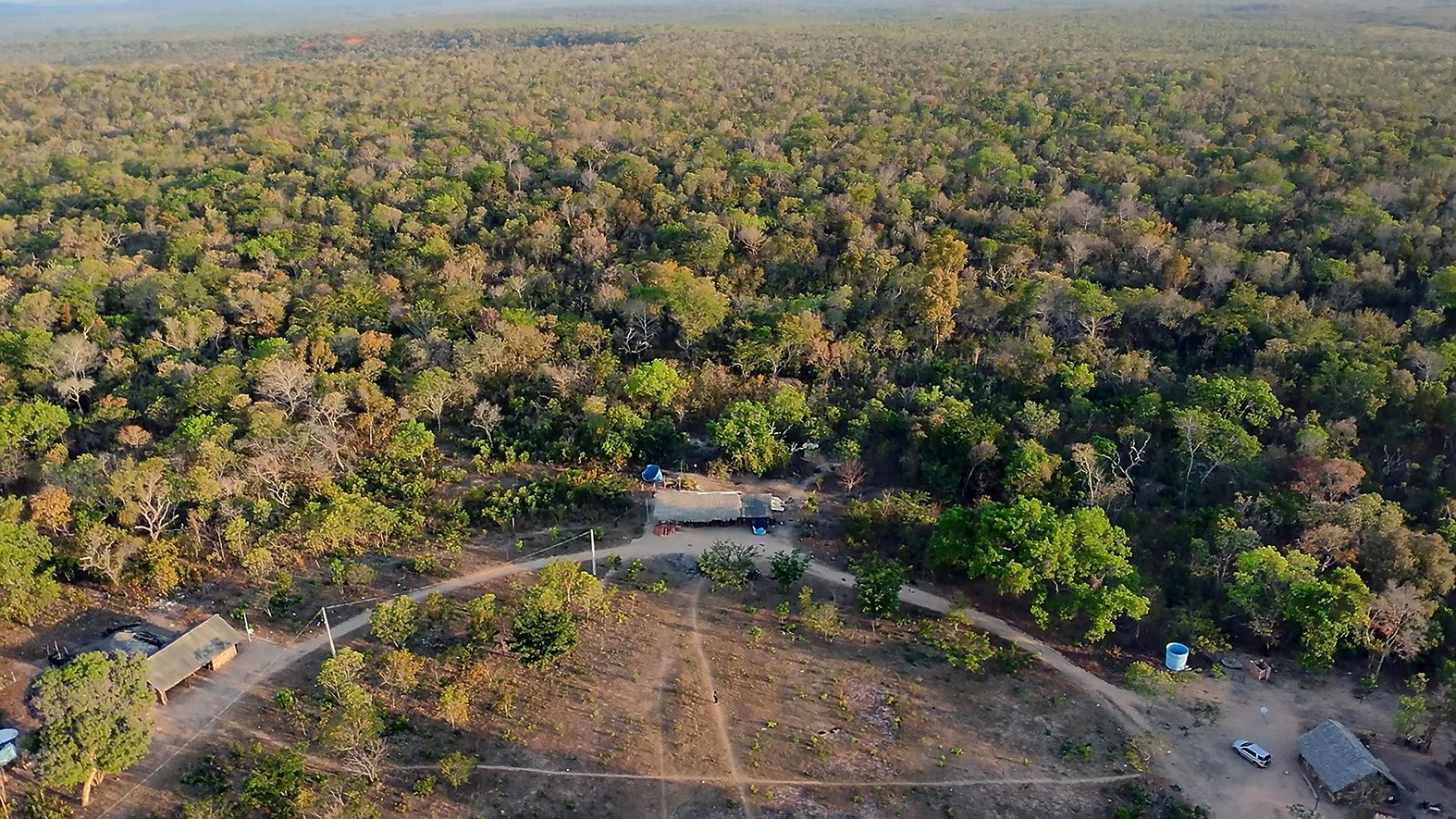 The Krenyê Indigenous Land is part of the biodiverse tropical savannah of Maranhão state, Eastern Brazil. Photo by: Luis Ushirobira / InfoAmazonia
