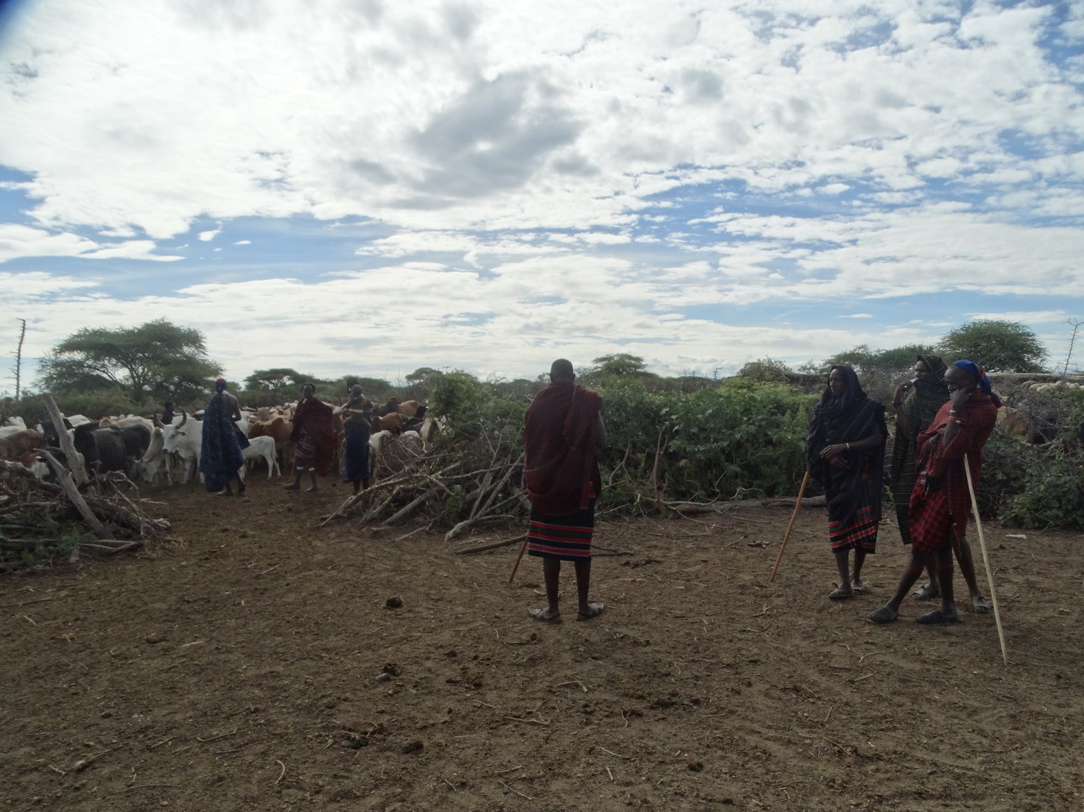 Herders in Handeni, northeastern Tanzania. Photo by Diana Taremwa-Karakire